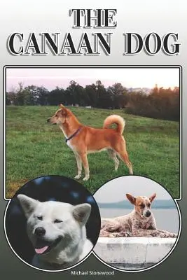 Câinele Canaan: A Complete and Comprehensive Owners Guide To: Cumpărarea, Deținerea, Sănătatea, Îngrijirea, Dresajul, Obediența, Înțelegerea și - The Canaan Dog: A Complete and Comprehensive Owners Guide To: Buying, Owning, Health, Grooming, Training, Obedience, Understanding and