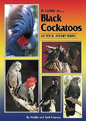Ghidul cocostârcului negru ca pasăre de companie și de pivniță (A Guide to Black Cockatoos as Pet & Aviary Birds) - A Guide to Black Cockatoos as Pet & Aviary Birds