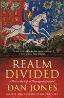 Realm Divided - Un an din viața Angliei Plantagenet - Realm Divided - A Year in the Life of Plantagenet England