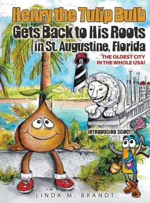Bulbul de lalele Henry se întoarce la rădăcinile sale în St. Augustine, Florida - Henry the Tulip Bulb Gets Back to His Roots in St. Augustine, Florida