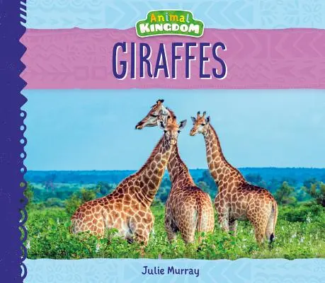 Girafe - Giraffes