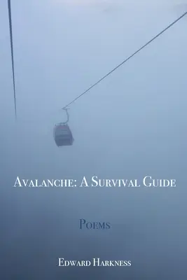 Avalanche: Un ghid de supraviețuire - Avalanche: A Survival Guide