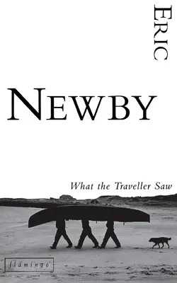 Ce a văzut călătorul - What the Traveller Saw