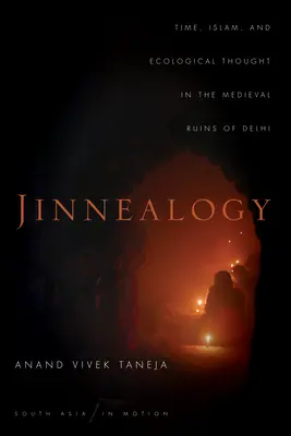 Jinnealogie: Timp, islam și gândire ecologică în ruinele medievale din Delhi - Jinnealogy: Time, Islam, and Ecological Thought in the Medieval Ruins of Delhi