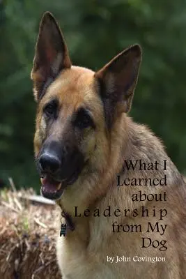 Ce am învățat despre leadership de la câinele meu - What I Learned About Leadership From My Dog
