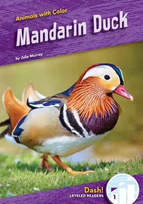Rața Mandarin - Mandarin Duck