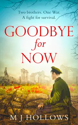 La revedere pentru moment - Goodbye for Now