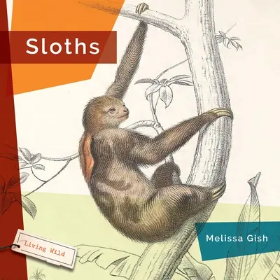 Leneși - Sloths