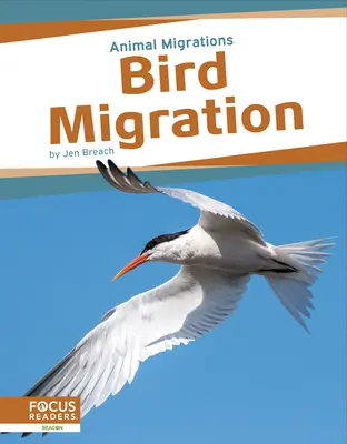 Migrația păsărilor - Bird Migration