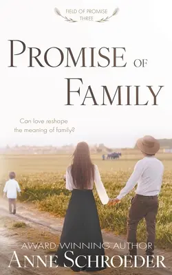 Promisiunea familiei: Un roman Amish contemporan netradițional - Promise of Family: A Non-Traditional Contemporary Amish Romance