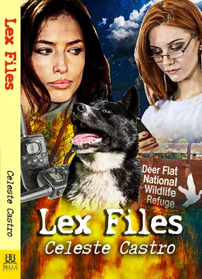 Fișiere Lex - Lex Files