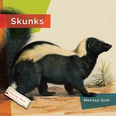 Sconcși - Skunks