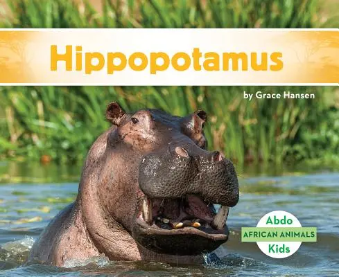 Hipopotamul - Hippopotamus