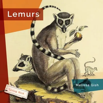 Lemuri - Lemurs