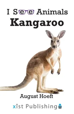 Cangur - Kangaroo