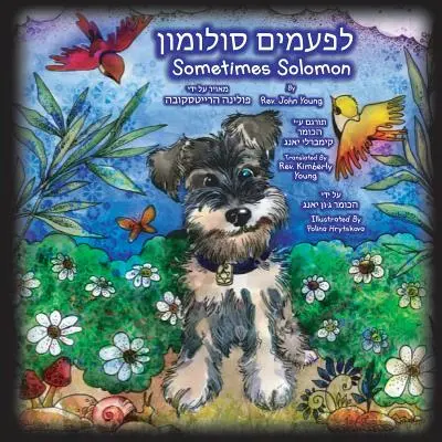 Uneori Solomon - Traducere din ebraică: Uneori un câine este doar un câine - Sometimes Solomon - Hebrew Translation: Sometimes a dog is just a dog