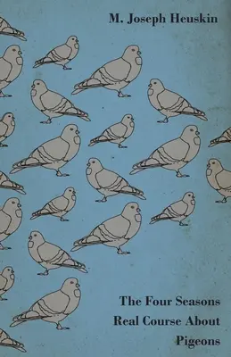 The Four Seasons Curs real despre porumbei - The Four Seasons Real Course About Pigeons