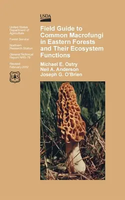 Ghid de teren pentru macrofungi comuni în pădurile estice și funcția lor ecosistemică - Field Guide to Common Macrofungi in Eastern Forests and Their Ecosystem Function
