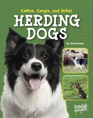 Collie, Corgies și alți câini de turmă - Collies, Corgies, and Other Herding Dogs