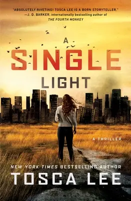 O singură lumină: Un Thriller - A Single Light: A Thriller