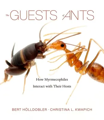 Oaspeții furnicilor: Cum interacționează mirmecofilii cu gazdele lor - The Guests of Ants: How Myrmecophiles Interact with Their Hosts