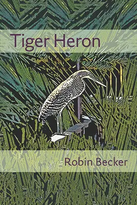 Tigrul Heron - Tiger Heron