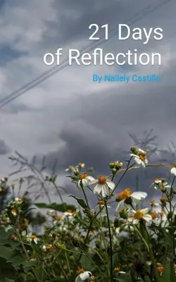 21 de zile de reflecție - 21 Days of Reflection