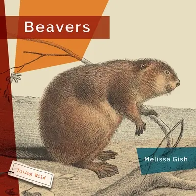 Castorii - Beavers