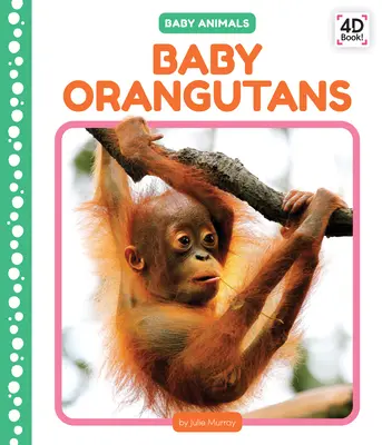 Baby Orangutani - Baby Orangutans