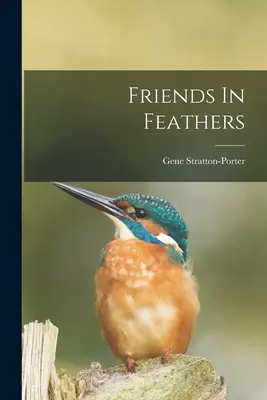 Prieteni în pene - Friends In Feathers