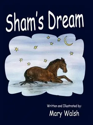 Visul lui Sham - Sham's Dream