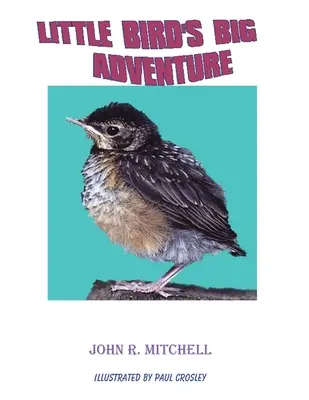 Marea aventură a lui Little Bird - Little Bird's Big Adventure