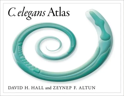 C. Atlasul Elegans - C. Elegans Atlas