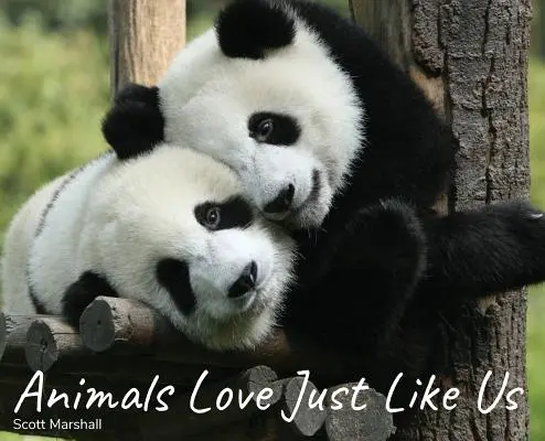 Animalele iubesc la fel ca noi - Animals Love Just Like Us