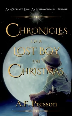 Cronicile unui băiat pierdut de Crăciun - Chronicles of a Lost Boy on Christmas