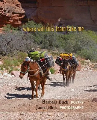unde mă va duce acest tren - where will this train take me