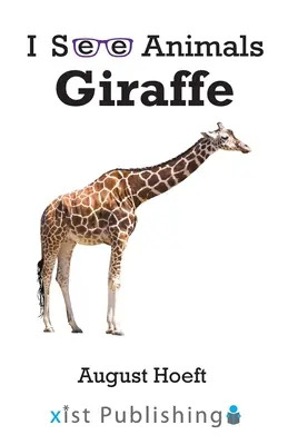 Girafa - Giraffe