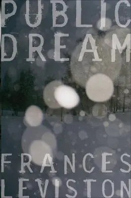 Visul public - Public Dream