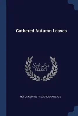 Frunze de toamnă adunate - Gathered Autumn Leaves