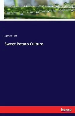 Cultura cartofilor dulci - Sweet Potato Culture