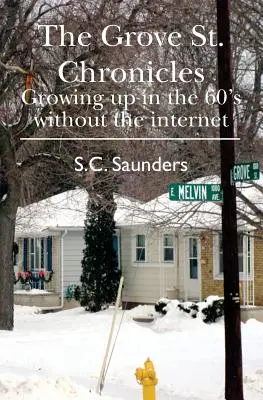 Cronicile din Grove St: Creșterea în anii '60, fără internet - The Grove St. Chronicles: Growing up in the 60's without the internet