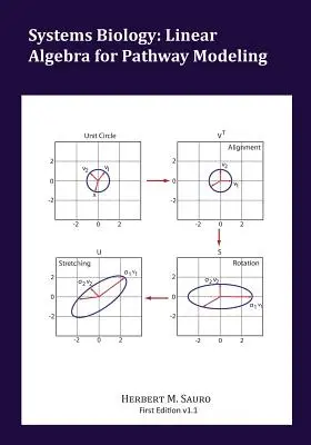 Biologie sistemică: Algebra liniară pentru modelarea căilor de acces - Systems Biology: Linear Algebra for Pathway Modeling