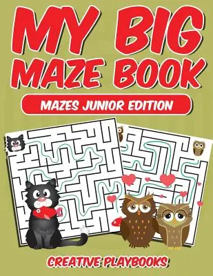 Marea mea carte de labirinturi Mazes Edition Junior - My Big Maze Book Mazes Junior Edition