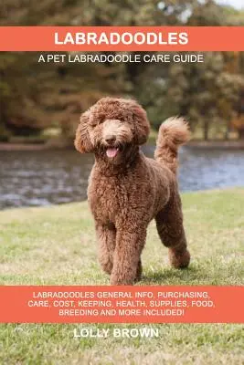 Labradoodles: Labradoodles Informații generale, cumpărare, îngrijire, costuri, păstrare, sănătate, consumabile, hrană, reproducere și multe altele incluse! Un animal de companie - Labradoodles: Labradoodles General Info, Purchasing, Care, Cost, Keeping, Health, Supplies, Food, Breeding and More Included! A Pet