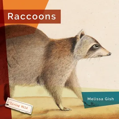 Ratonii - Raccoons