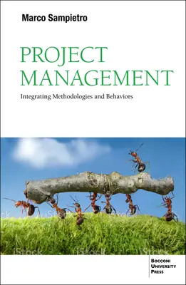 Managementul proiectelor: Integrarea metodologiilor și comportamentelor - Project Management: Integrating Methodologies and Behaviors