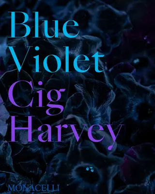 Violet albastru - Blue Violet