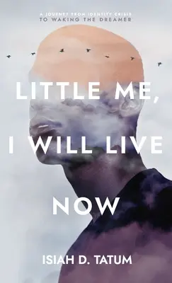 Little Me, I Will Live Now: O călătorie de la criza de identitate la trezirea visătorului - Little Me, I Will Live Now: A Journey From Identity Crisis to Waking the Dreamer