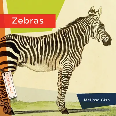Zebre - Zebras