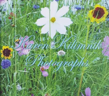 Karen Kilimnik: Fotografii - Karen Kilimnik: Photographs